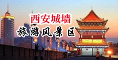 亚洲肥婆网站中国陕西-西安城墙旅游风景区